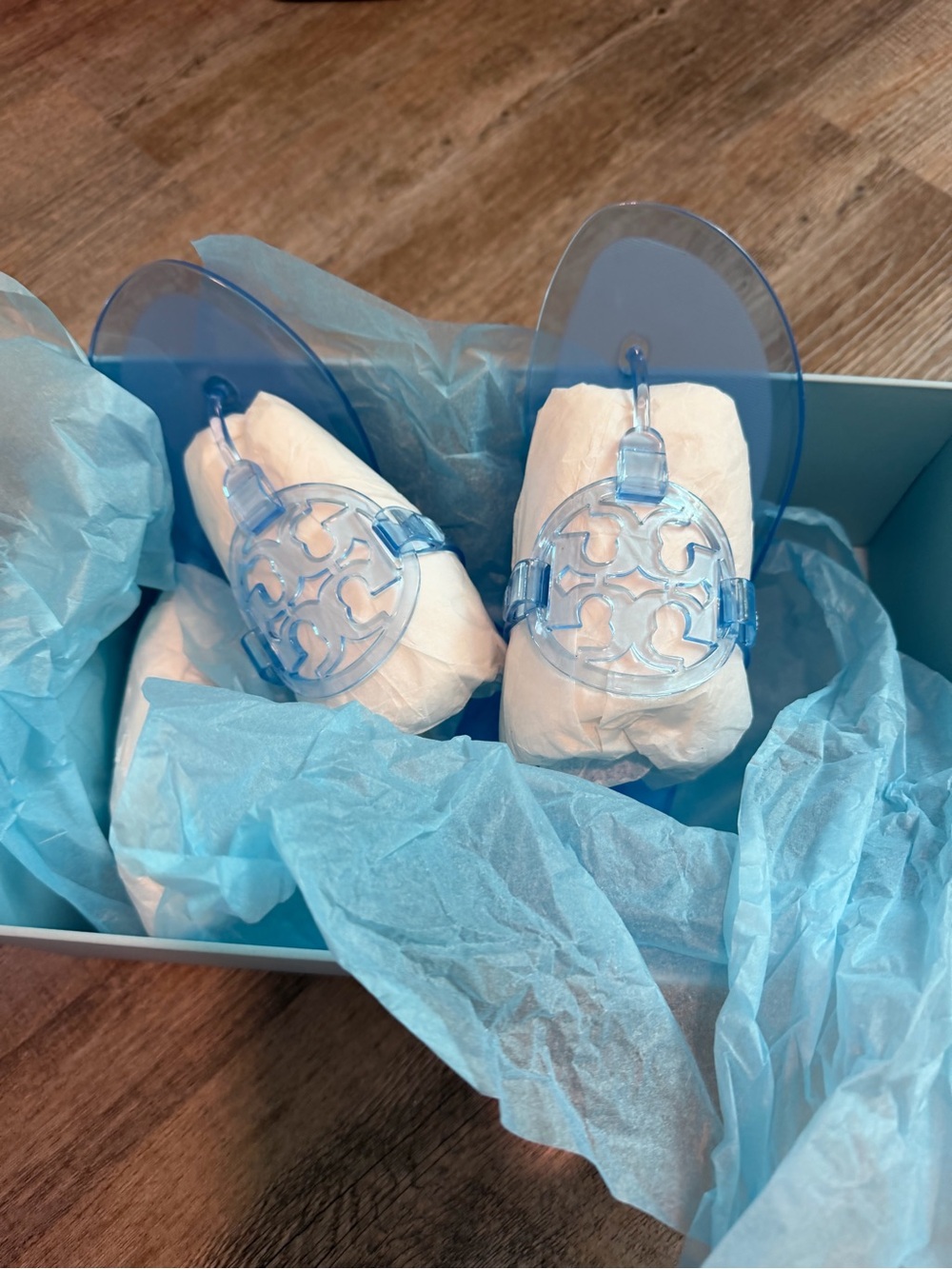 Tory Burch Clear Light Blue Logo Jelly Flats
